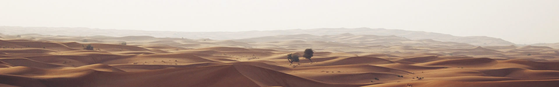 ķ޹˾